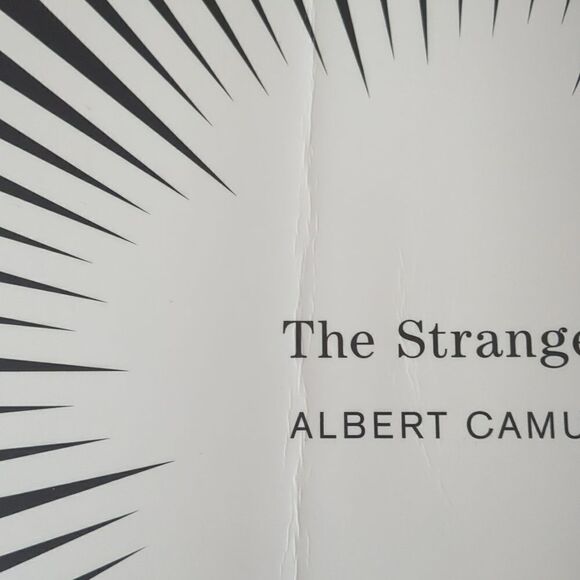 The Stranger By Albert Camus - Picture 4 of 4
